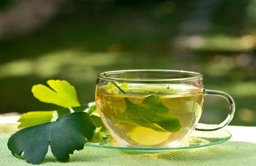 cup of gingko biloba tea