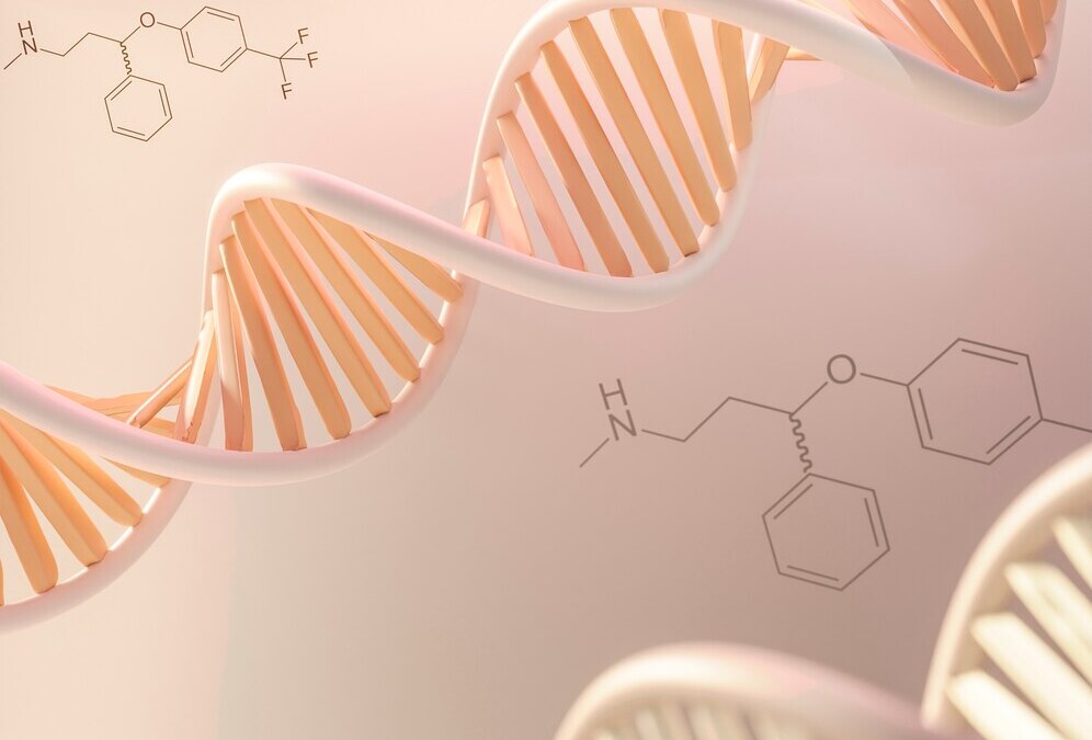 Influence of Epigenetics on Stem Cell Differentiation and Regeneration